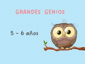 Pack búhos (Reto 4)